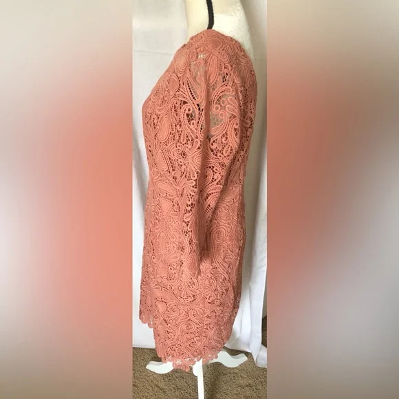 Eliza J Size 12 Lace Dress - Picture 4 of 8